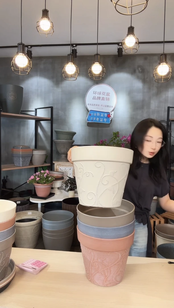 12寸紫苏圆盆米白色10只