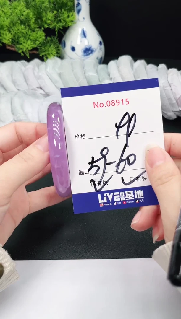 未镶嵌手镯翡翠8915