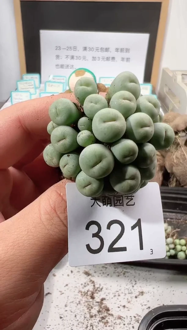 【闪购商品】++++321