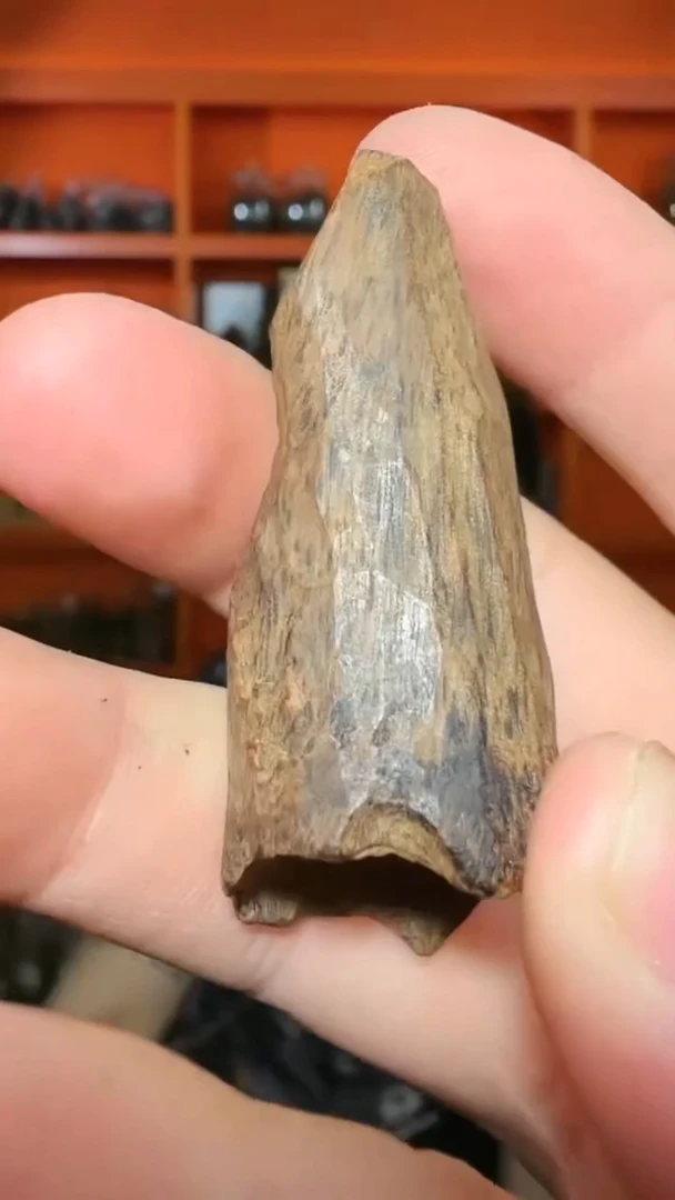 沉香吊坠500号沉水原母树小包头多样性发一