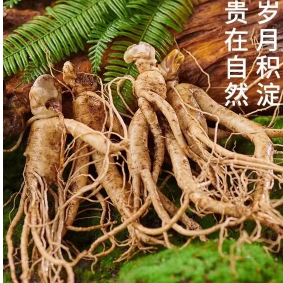 原产地长白山鲜人参低农残泡茶煲汤磨粉【单支6-10克左右】