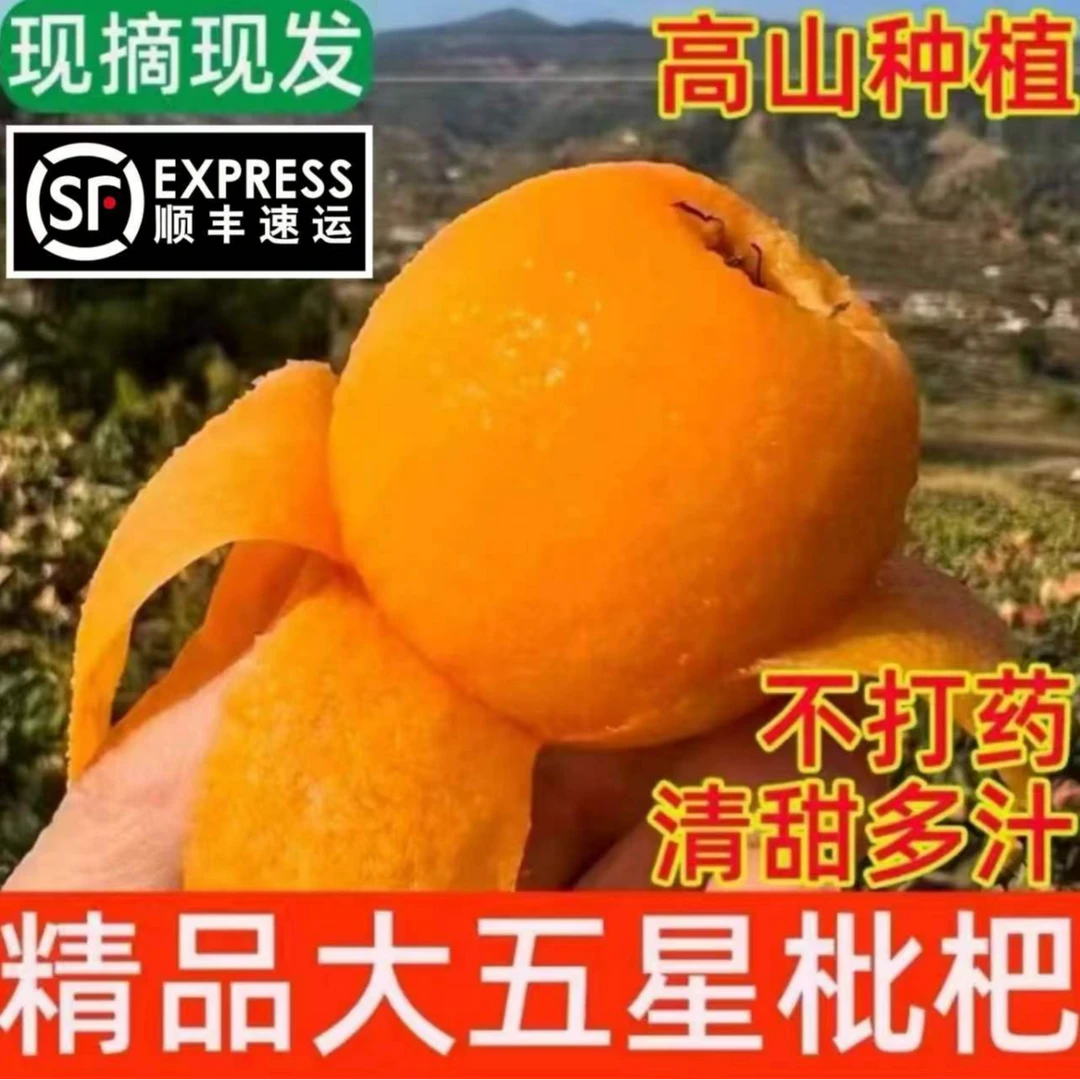 《顺丰&到家》四川正宗大五星枇杷新鲜当季孕妇水果高山枇杷