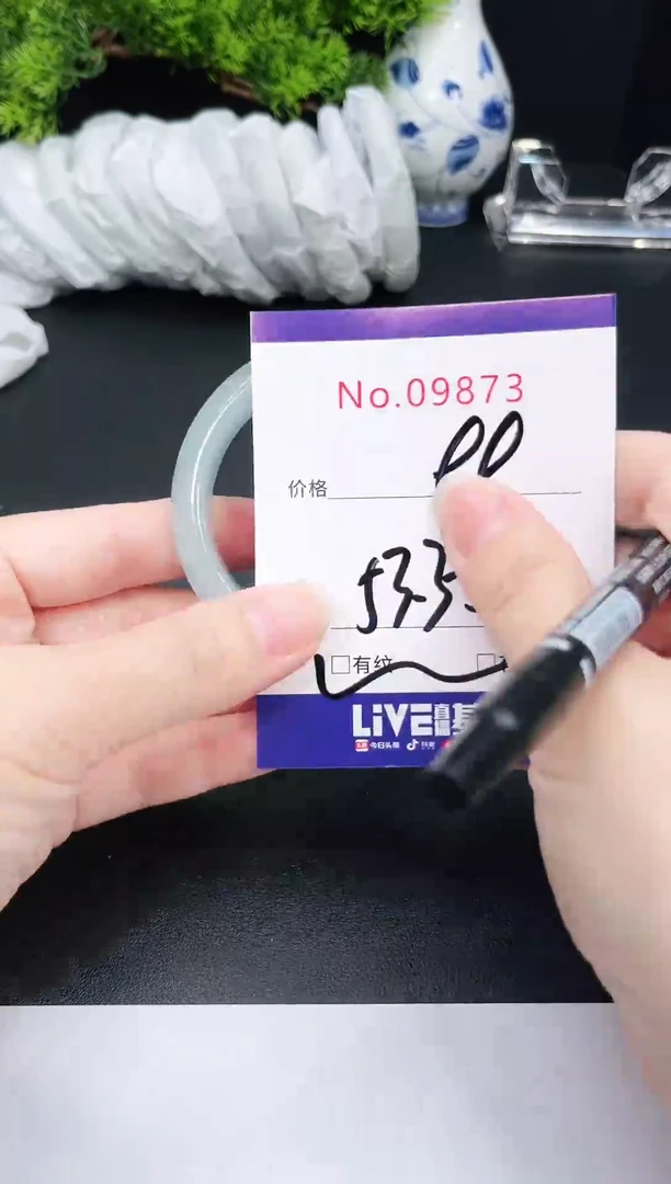 未镶嵌手镯翡翠9873