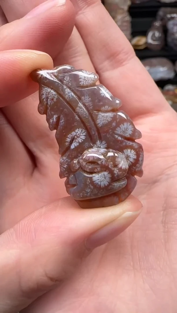 颈饰未镶嵌硅化珊瑚（珊瑚玉）685