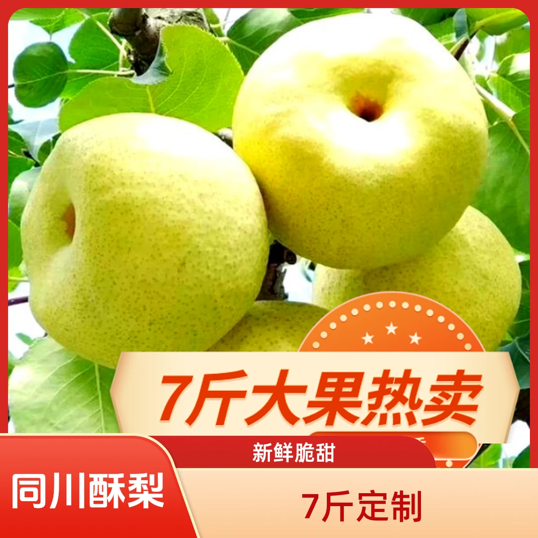 【正宗原平同川酥梨7斤】新鲜水果脆甜多汁山西特产珍珠棉整箱包邮