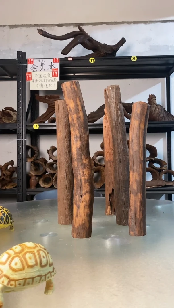 M***帅鱼缸爬宠造景素材438