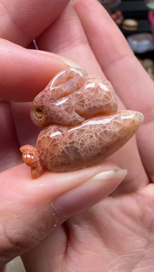 颈饰未镶嵌硅化珊瑚（珊瑚玉）828