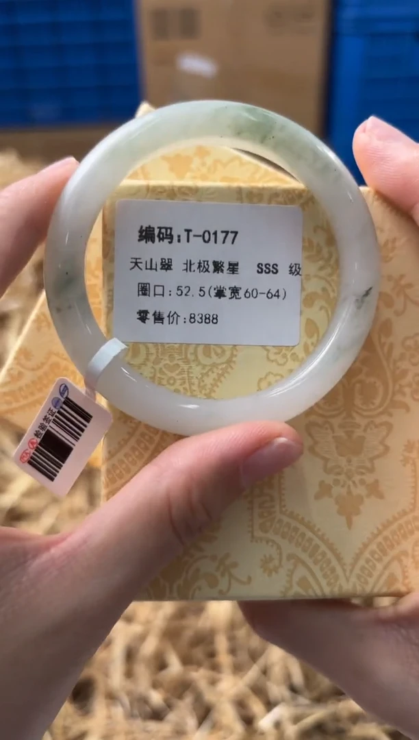 未镶嵌手镯石英质玉T-0177
