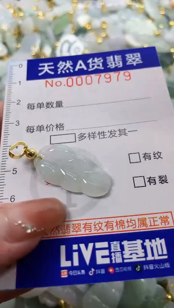 颈饰未镶嵌翡翠天然A货翡翠