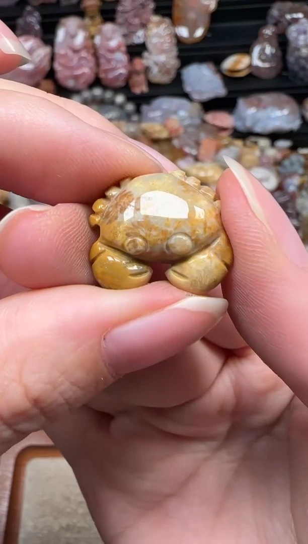 颈饰未镶嵌硅化珊瑚（珊瑚玉）862