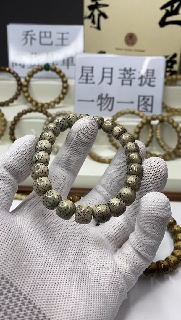 手串星月菩提一物一图-W23-121