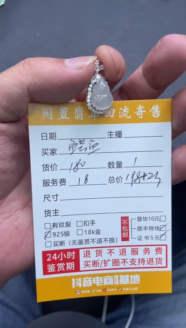 颈饰银S925镶嵌翡翠鳄**宝111