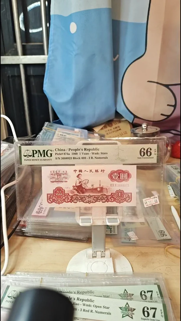 纤维丝一品红66分无47！！！！