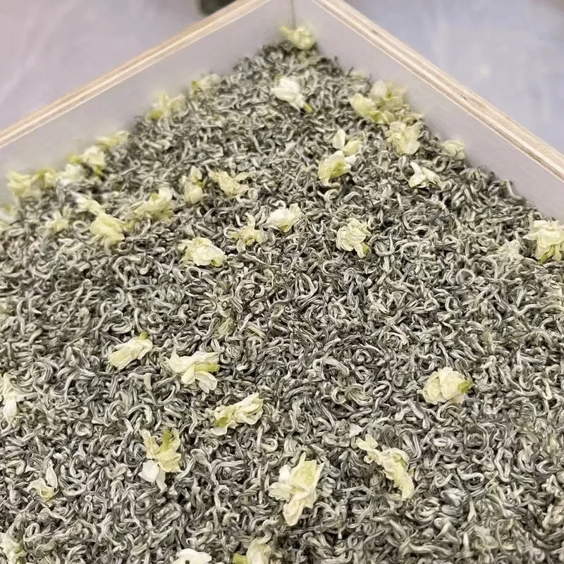 茉莉针王A3临时链接 250-500克