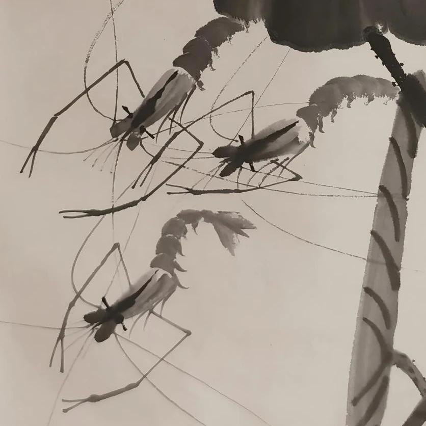 【辽拍】V250709-2-430《虾》（3.9平尺) 纸本镜片 ykz