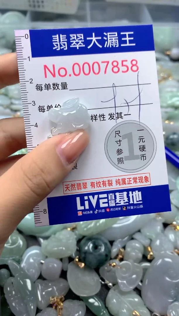 颈饰未镶嵌翡翠7858