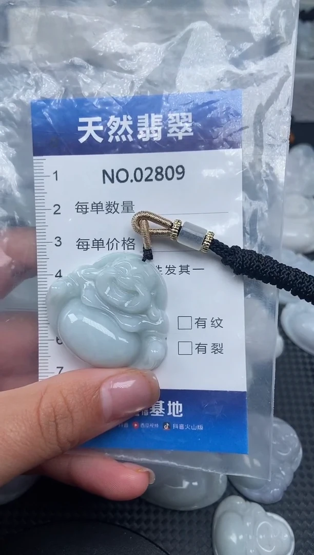 颈饰未镶嵌翡翠纯天然A货翡翠2809