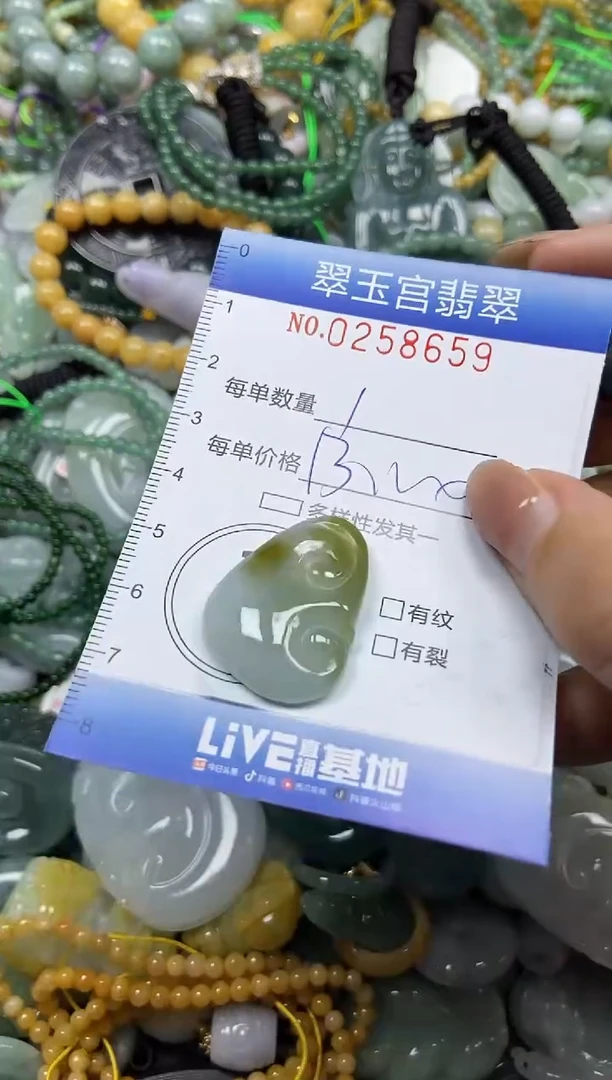颈饰未镶嵌翡翠闪购C0258659