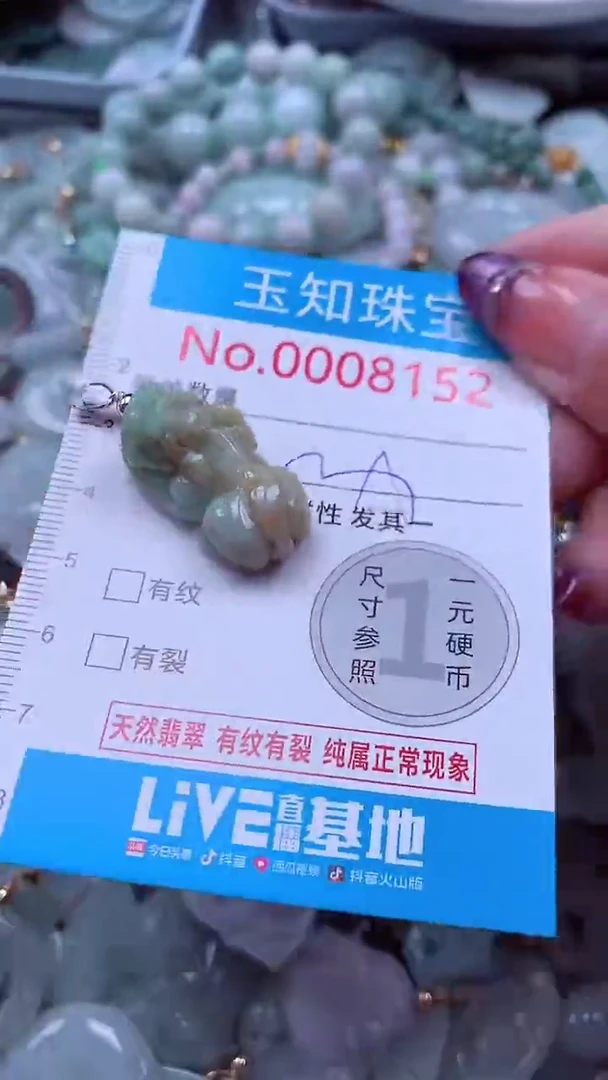 翡翠未镶嵌吊坠(不含链)8152