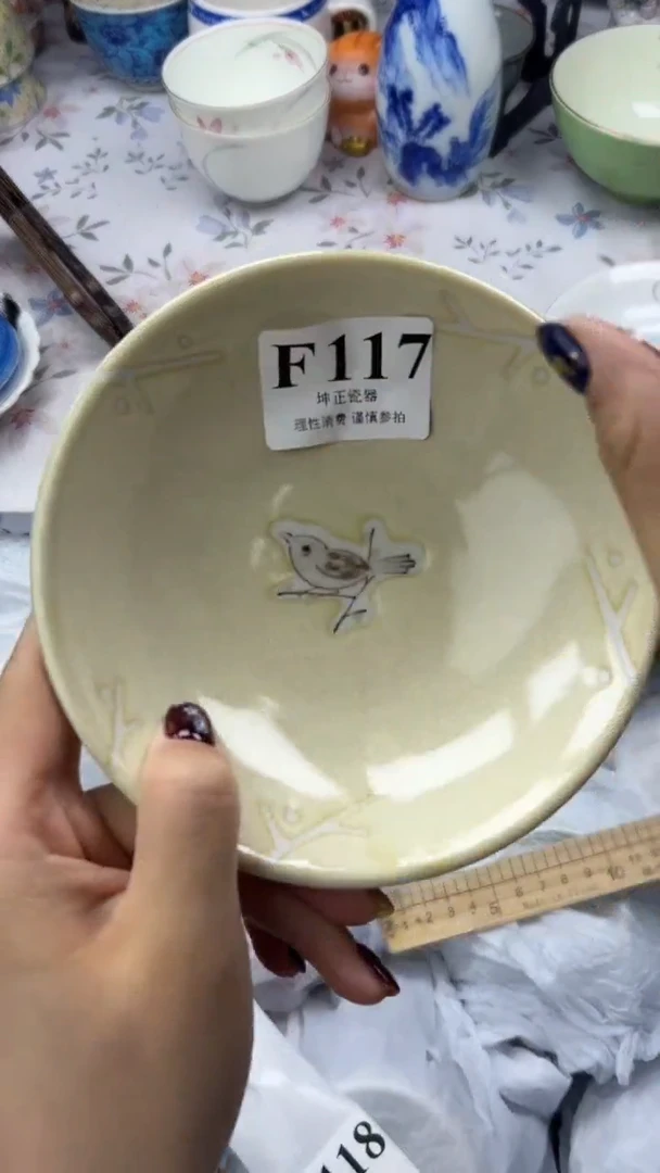 瓷片          F117