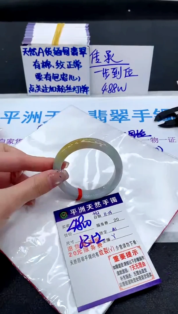 未镶嵌手镯翡翠11111111