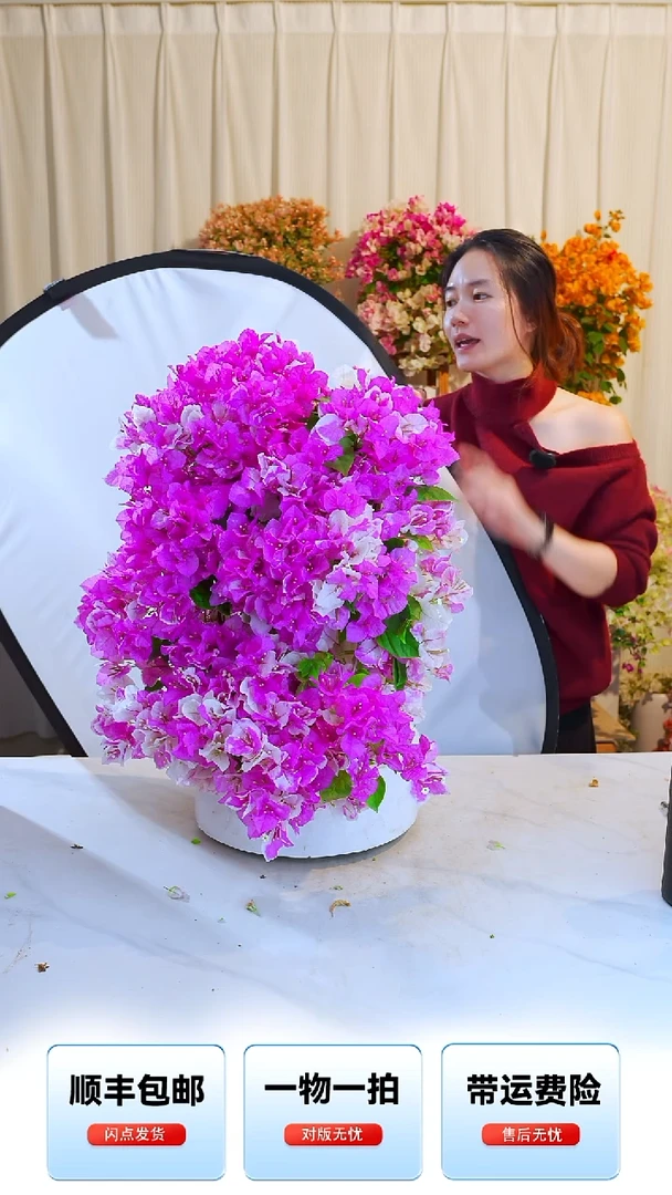 大部分开放少量花苞漳红樱