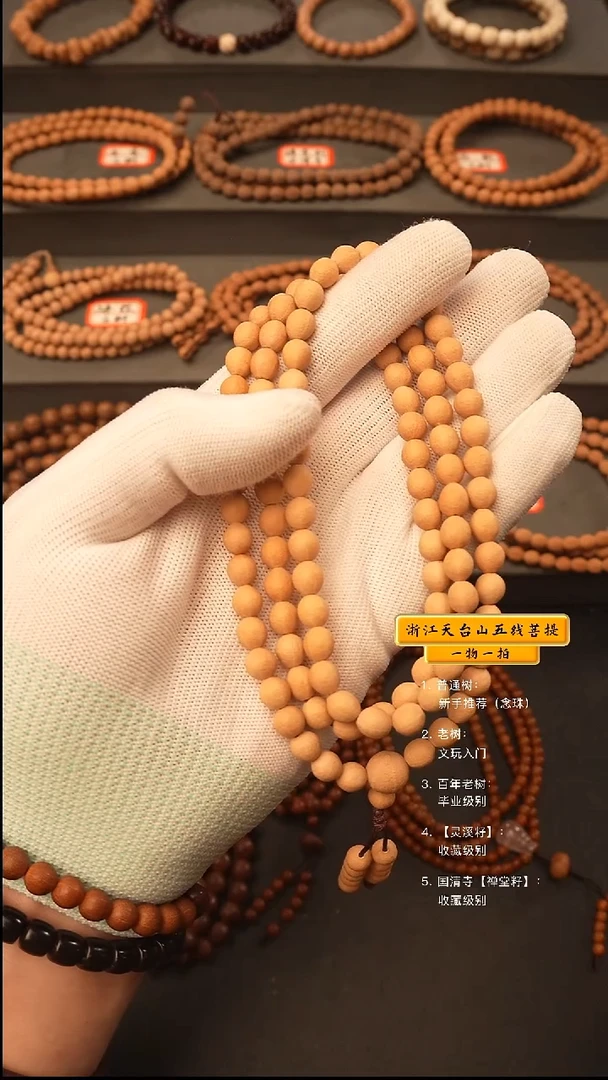 吊坠五线菩提紫**和y脖挂