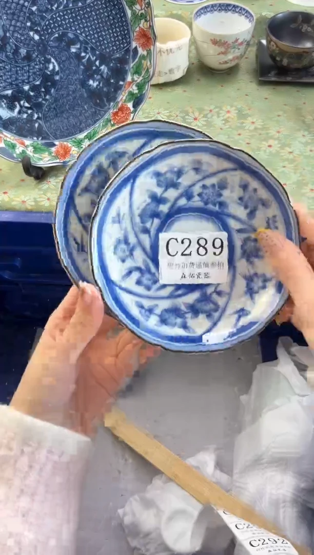 【闪购商品】瓷片          C289