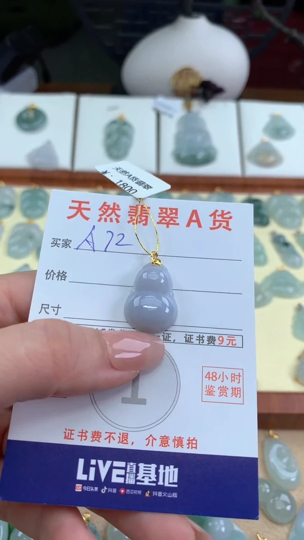 颈饰未镶嵌翡翠天然A货翡翠挂件