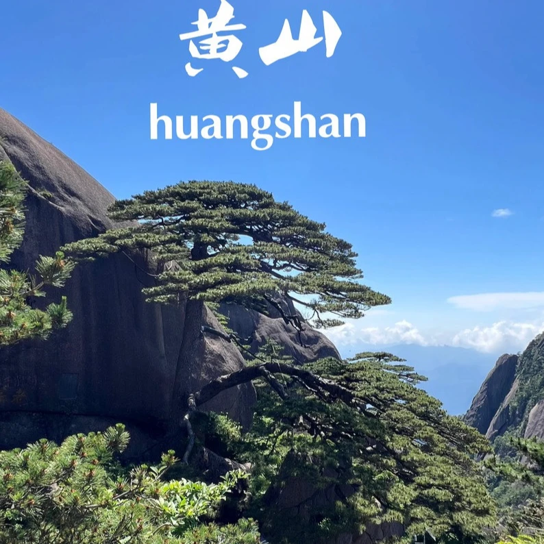 新茶【持一碗】无由持一碗 敬与爱茶人