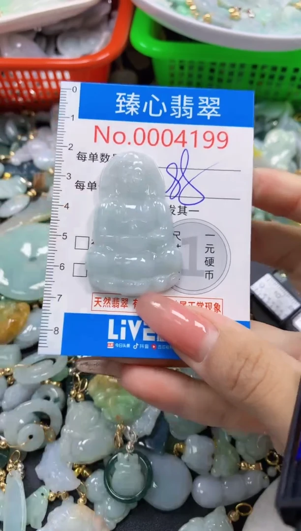 翡翠未镶嵌颈饰4199