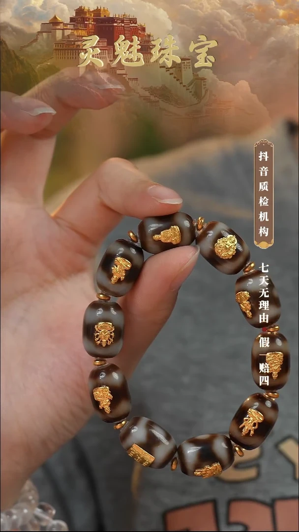 玛瑙/玉髓（覆膜）颈饰18K金镶嵌手串