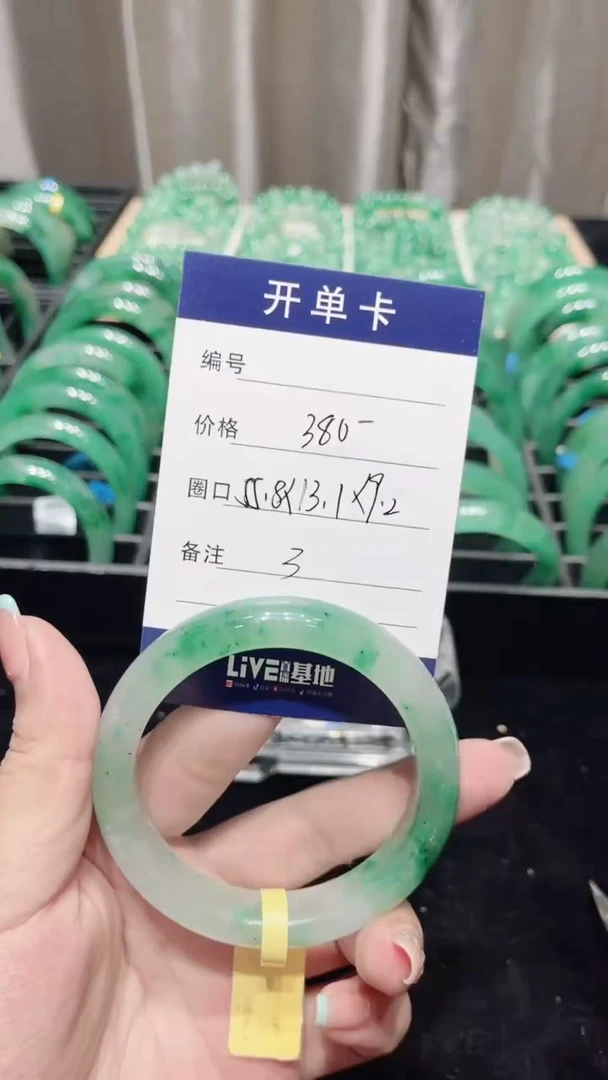 石英质玉（非洲翠）未镶嵌颈饰手镯55.8