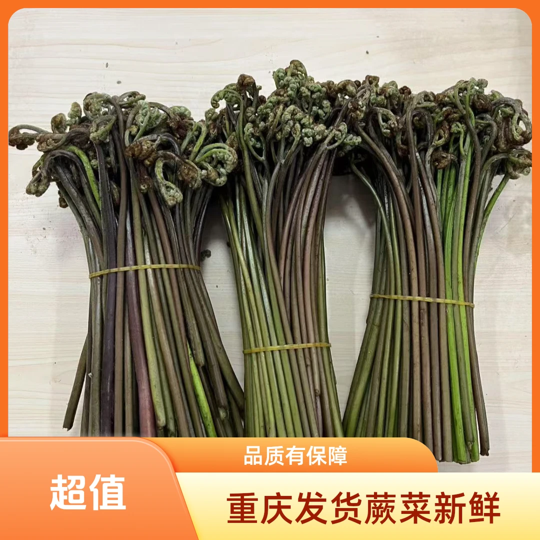 重庆发货天然生长新鲜蕨苔菜750克顺丰包邮