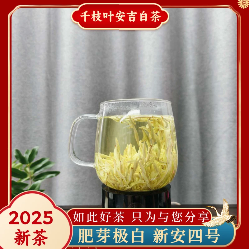 【珍稀极白小芽】2025新茶安吉原产明前新安四号白茶春茶檀木香绿茶