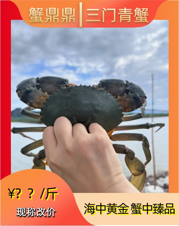 【青蟹现称改价2】青蟹三门青蟹鲜活发全国顺丰包邮礼盒鲜活青蟹