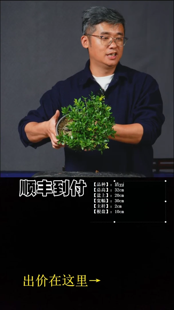 以实际为准清誉栀子bvubaoyou