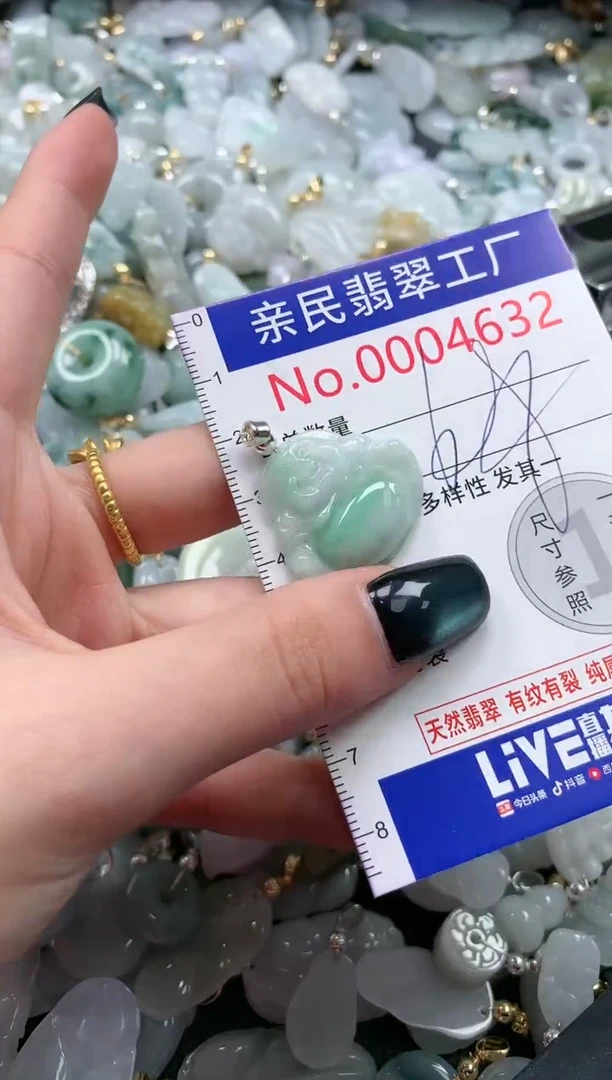 翡翠未镶嵌吊坠(不含链)4632