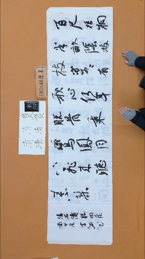 书法雷平 内蒙古理s  兰亭书家届展 48*180 八平尺