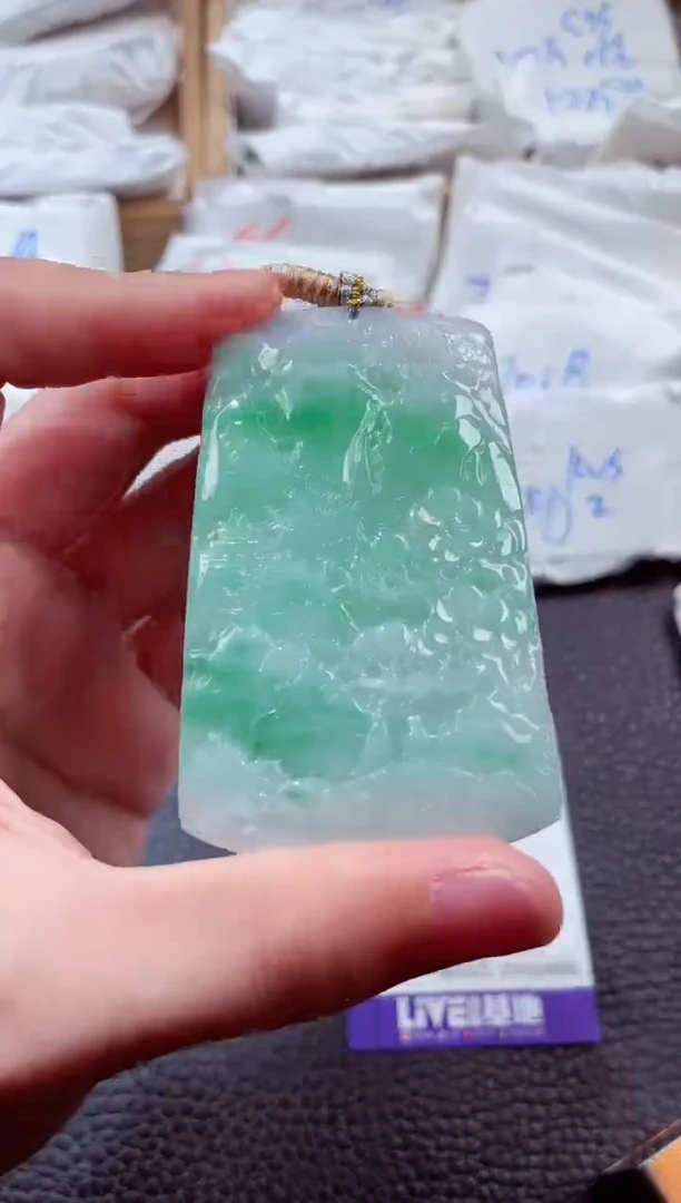 翡翠未镶嵌颈饰0000539