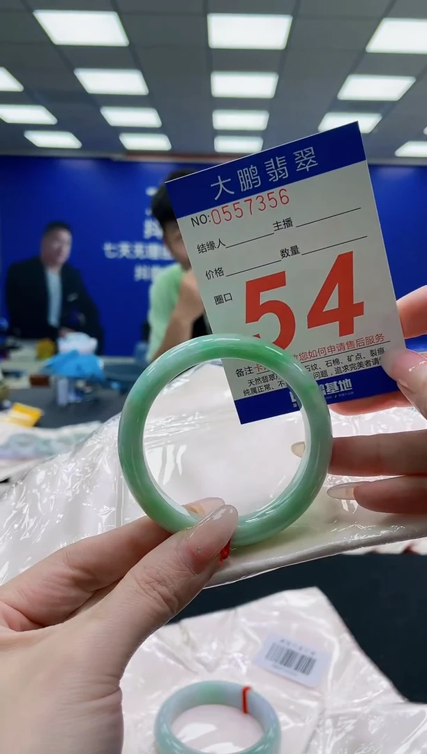 未镶嵌手镯翡翠沧****鹿AAAAAAAAAAAAAAAAAA