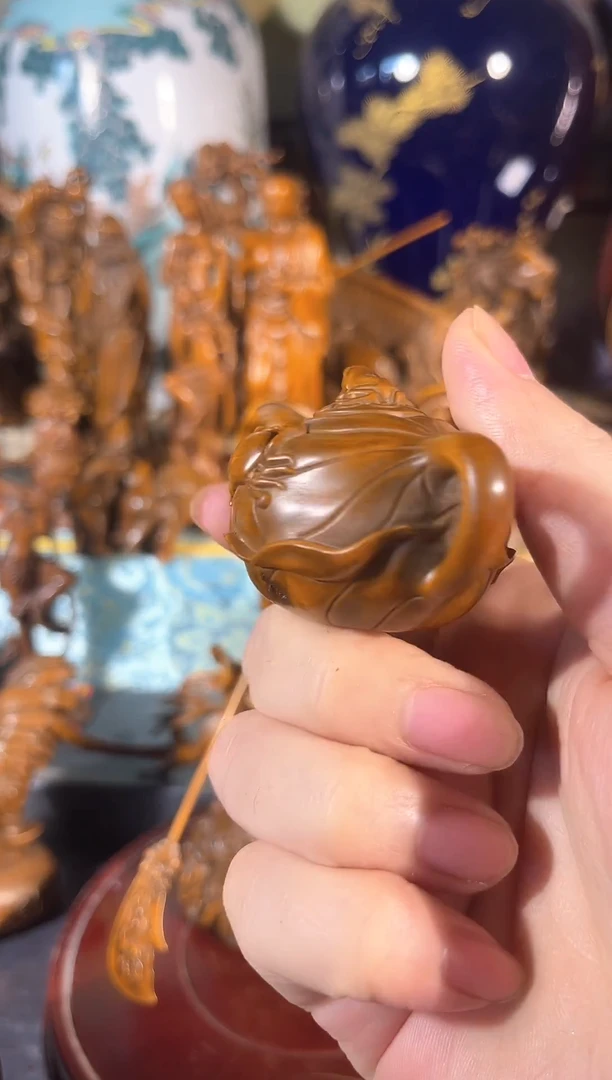 黄杨木111111111111111