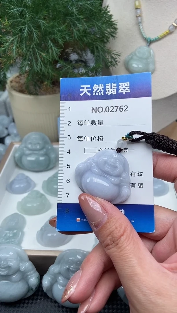 颈饰未镶嵌翡翠纯天然A货翡翠2762