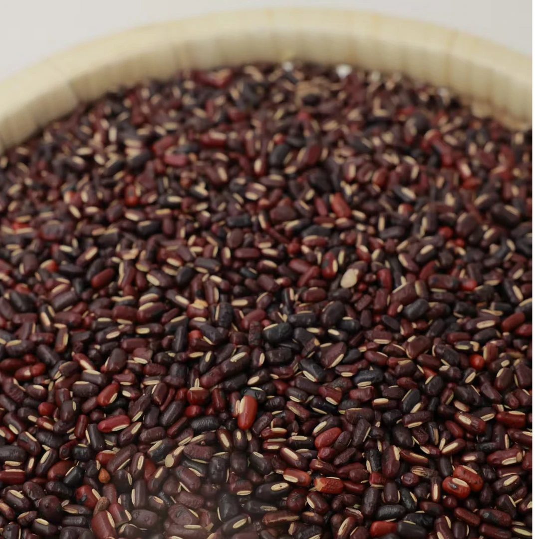 「陈会长严选」炒赤小豆250g*2包当季新货农家自产杂粮