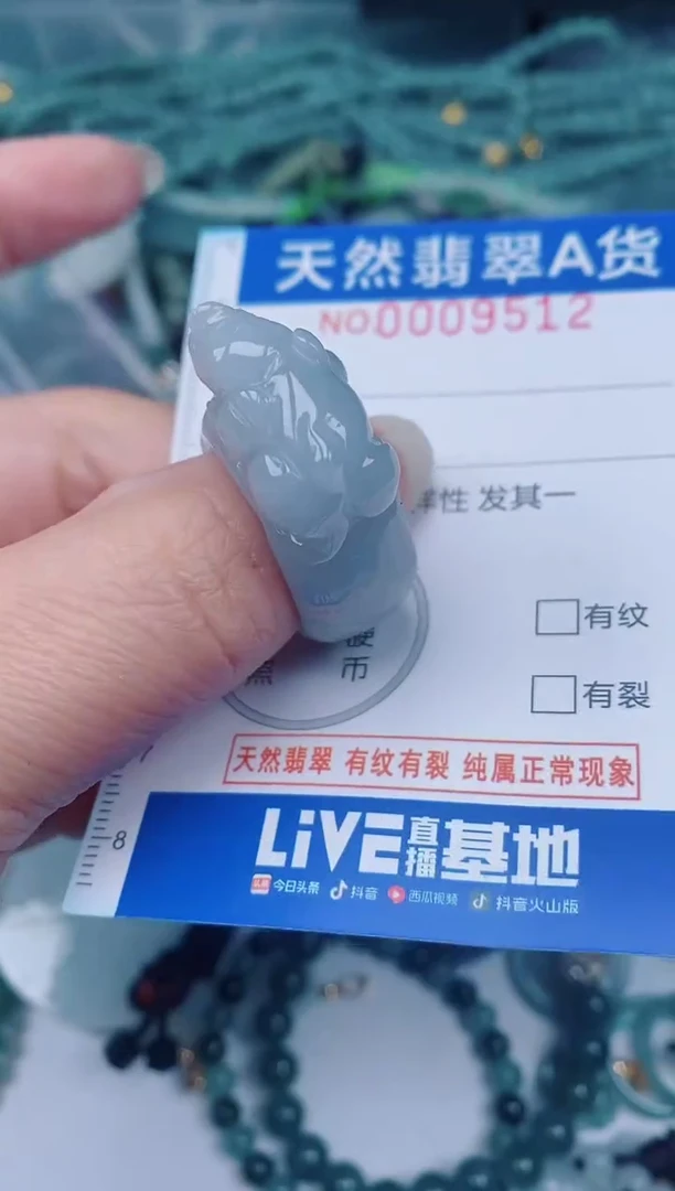 颈饰未镶嵌翡翠00009512