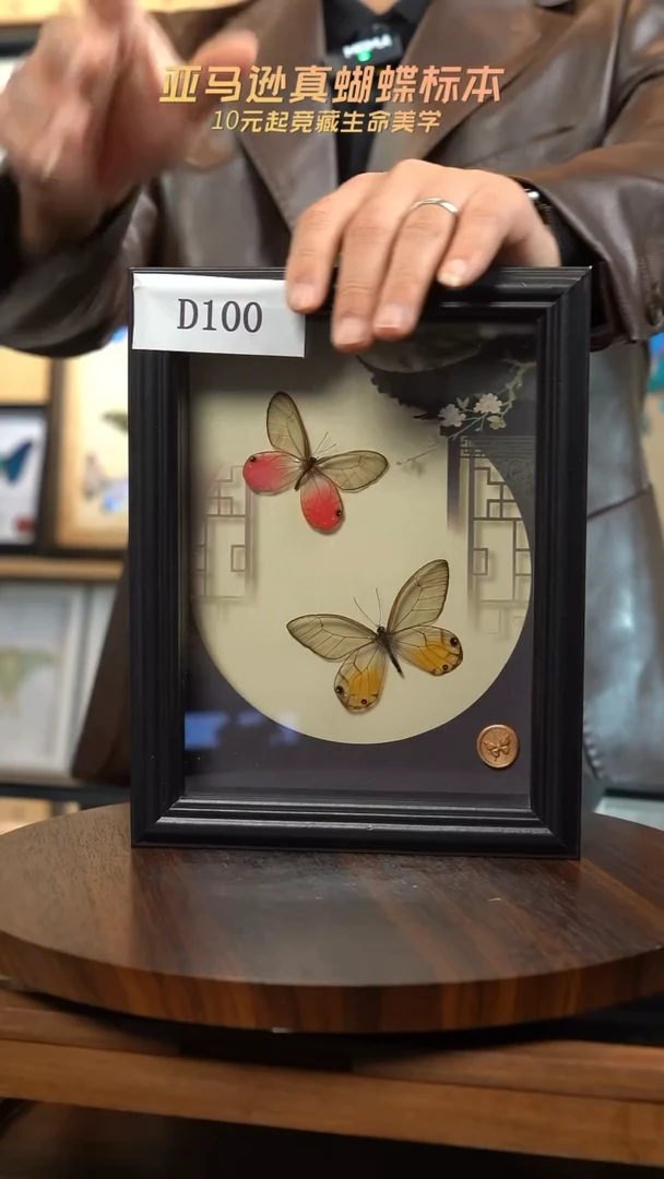 蝴蝶标本摆件竞拍玫瑰绡眼蝶+黄晶眼蝶d100