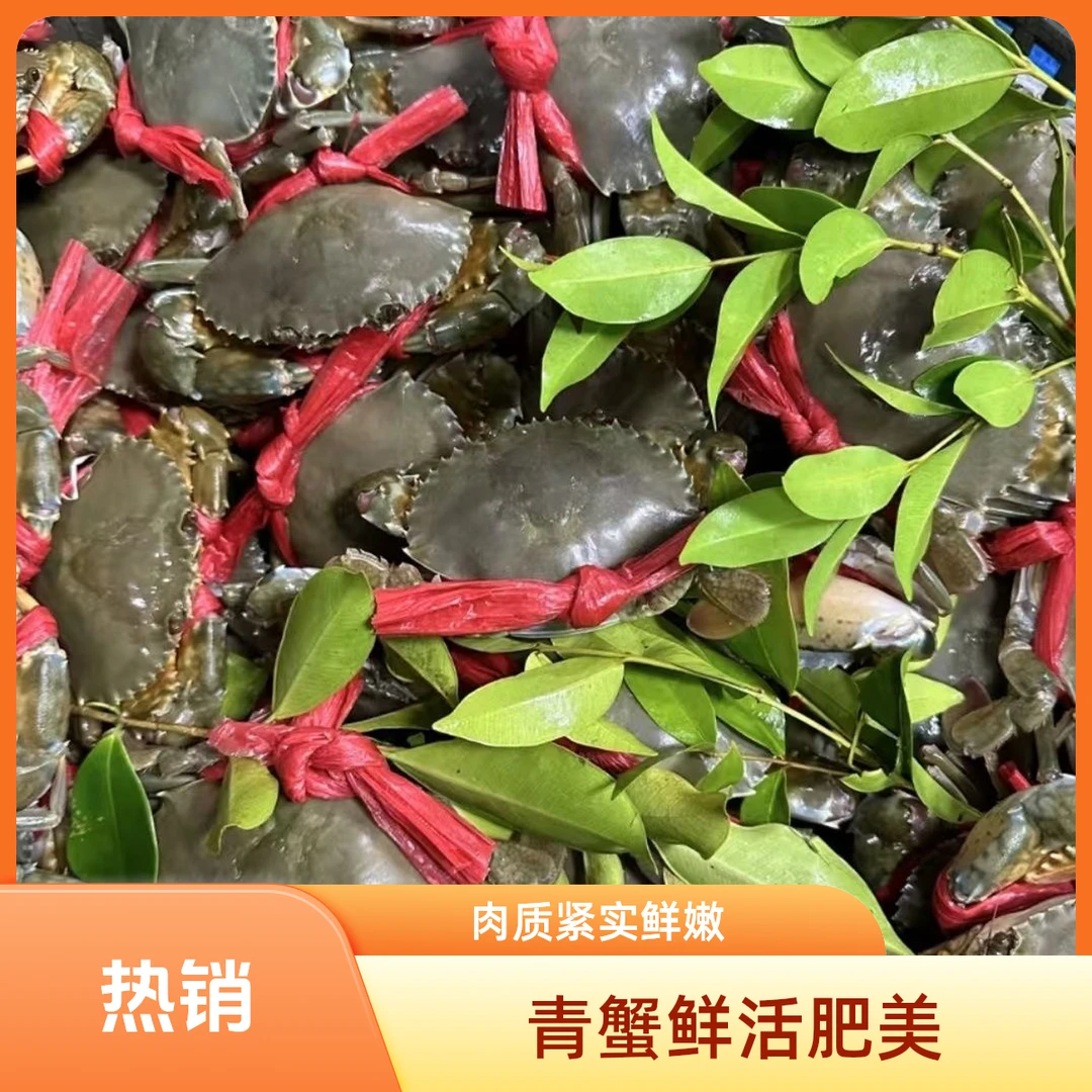 东山红膏蟹红鲟蟹有膏有黄鲜活到家顺丰包邮青蟹海鲜