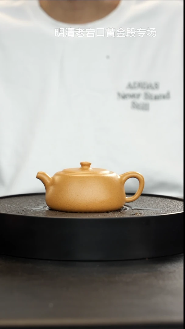 茶壶紫砂老宕口天花板黄金段唐门井栏大漏