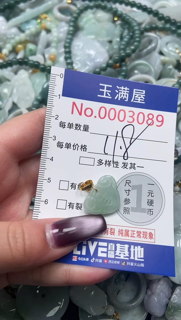 颈饰未镶嵌翡翠3089