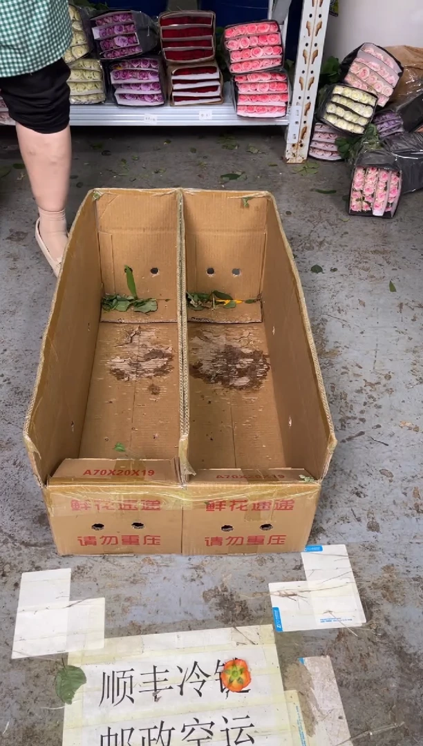 深紫洋桔梗800克3扎